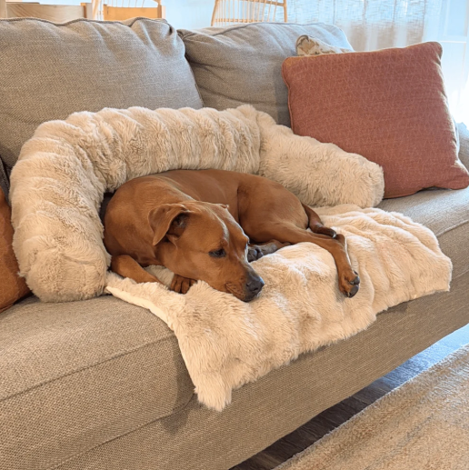 CloudCuddle™ Dog Bed