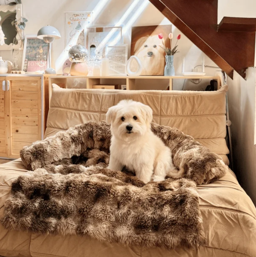 CloudCuddle™ Dog Bed