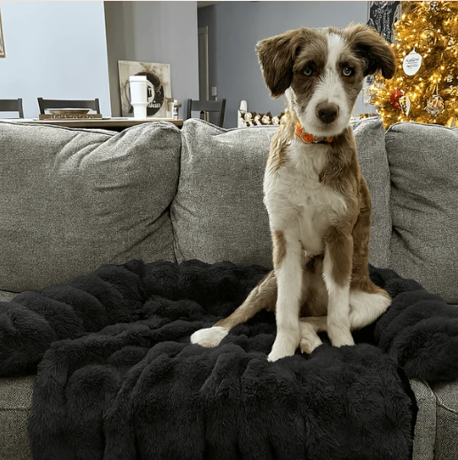 CloudCuddle™ Dog Bed